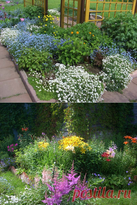 Gardening | Клумба непрерывного цветения
 #Цветы_любимые@gardening.kittens.world
#Сад_цветы@gardening.kittens.world
#Клумба_непрерывного_цветения@gardening.kittens.world
Клумба непрерывного цветения. Как обустроить клумбу и какие растения к ней подобрать - как раз сейчас идет время закупок семян и саженцев.
https://www.gardening.kittens-world.ru/klumba-nepreryvnogo-cvetenija.html