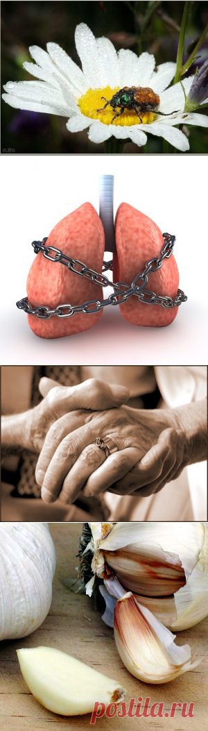 1 ОТ БОЛЕЗНИ ИЗЛЕЧИЛСЯ САМ | Записи в рубрике 1 ОТ БОЛЕЗНИ ИЗЛЕЧИЛСЯ САМ | Дневник "прочти, Богиня"