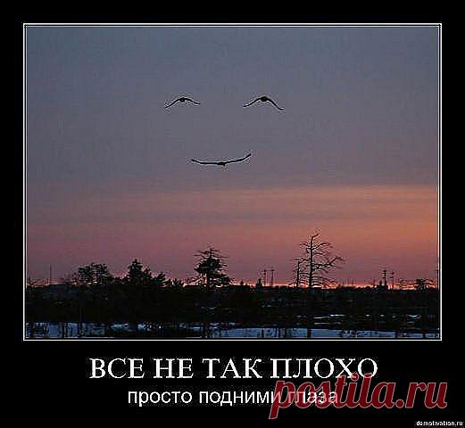 Подними глаза.