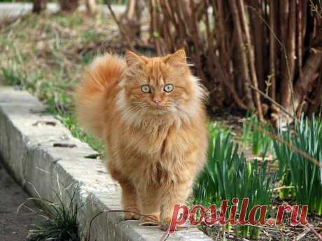 Вязаный Микс (VM)✔