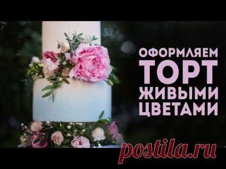 Велюровый торт с живыми цветами. Как украсить торт цветами? Все тонкости работы в одном видео