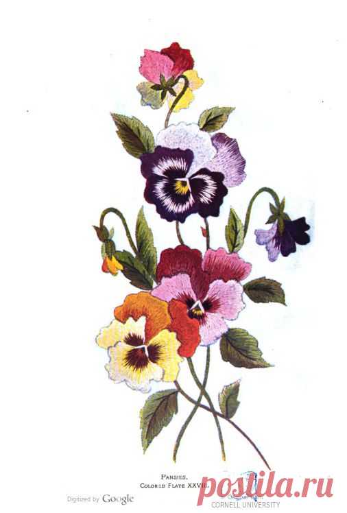 Home needlework magazine ... v.4 1902. - Full View | HathiTrust Digital Library | HathiTrust Digital Library