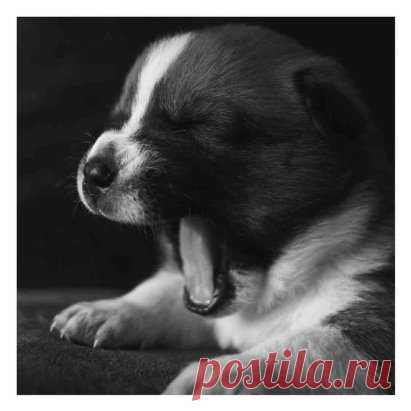 «Сейчас... ещё одну серию досмотрю и спать...а то уже почти 12 ночи»
Через 2 часа:
«Ой, нужно быстрее спать, блин, хотел же только одну серию посмотреть, а тут Мишка позвал поиграть. А завтра ведь только среда».
Картина утром:
всё бесит,
люди что-то от меня хотят,
на работу опоздал, остановку свою проехал, уснул,
уже 5-я чашка кофе, а проснуться никак не получается,
голова совсем не варит и болит,
хоть бы уже вечер и домой, спать.
__________________________________________...