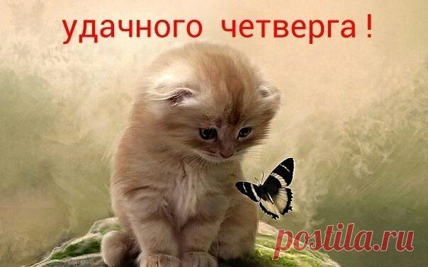 4tV-A6b1dr0.jpg (604×377)