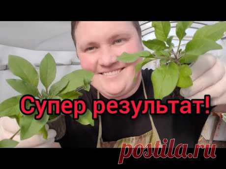 Канал о цветах