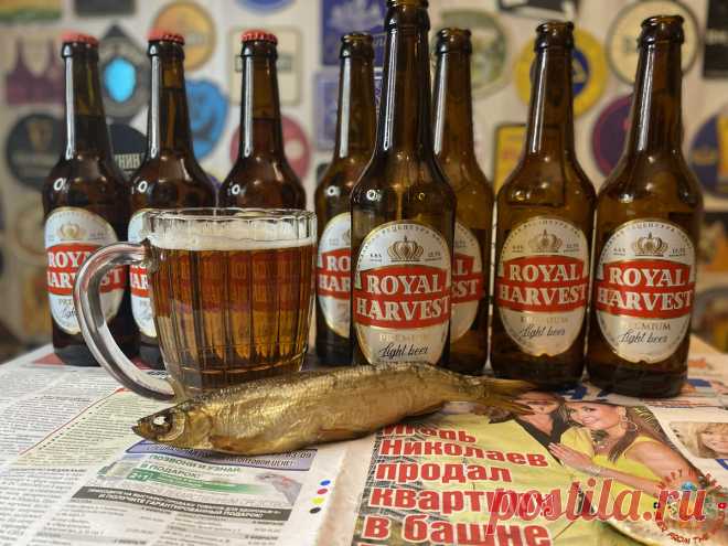 Вкусное, настоящее российское пиво! Пьёшь с удовольствием и никакого похмелья утром! | С Миру по Пиву! | Дзен