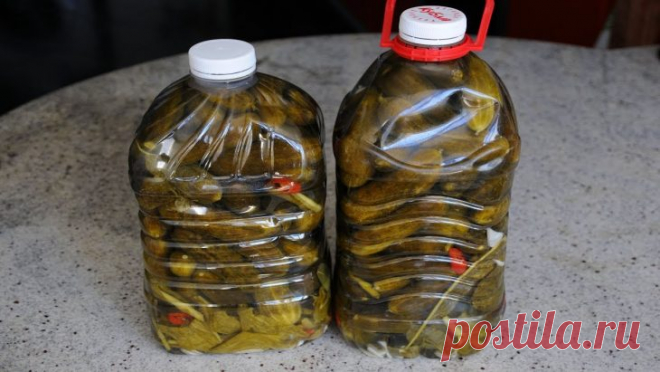 Огурцы в бутылке, похожие на бочковые – В РИТМІ ЖИТТЯ