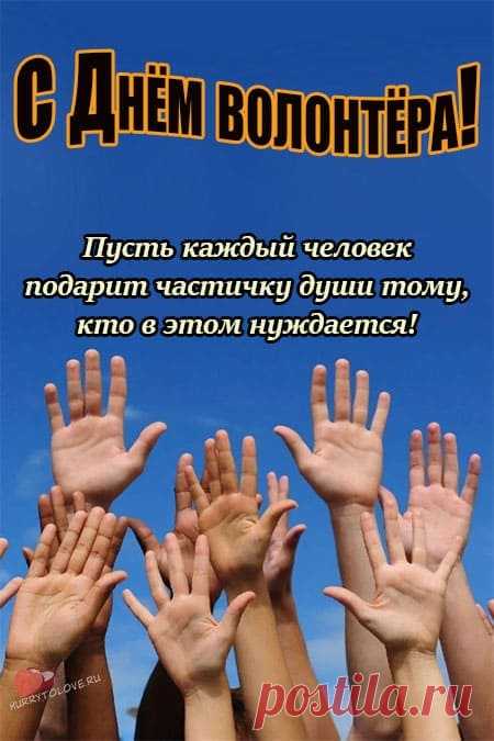 День добровольцев, поздравляю
Спасибо вам за все старания,
За вклад, что каждый внес из вас,
Пускай Господь вас охраняет,
Вы все, ребята, просто класс!