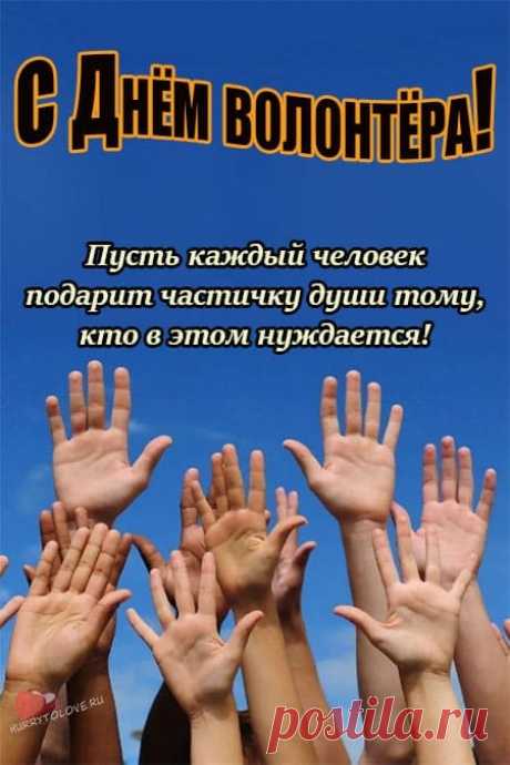 День добровольцев, поздравляю
Спасибо вам за все старания,
За вклад, что каждый внес из вас,
Пускай Господь вас охраняет,
Вы все, ребята, просто класс!
