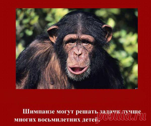 ИНТЕРЕСНЫЕ ОТКРЫТИЯ И ФАКТЫ (23 фото)
