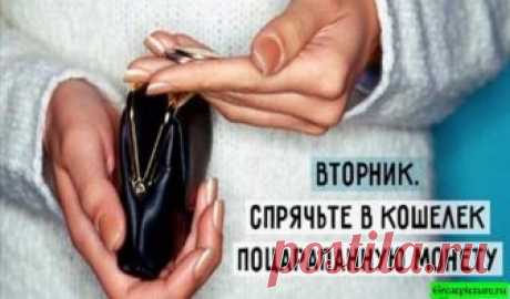 Ритуал на деньги: Денежные Ритуалы, Которые принесут Достаток