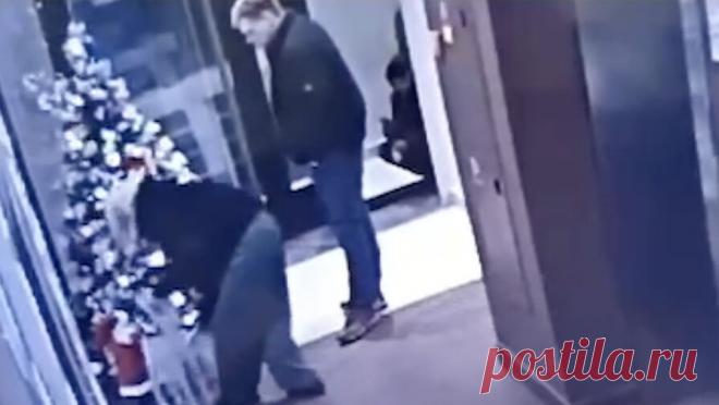 Молодые люди похитили новогоднего оленя после фотосессии в московском ЖК. Пара похитила святящегося оленя из новогодней композиции, установленной в подъезде дома на юге Москвы. Об этом сообщает Telegram-канал "Осторожно, Москва". Молодой человек и девушка заметили новогоднего оленя, стоящего возле ...