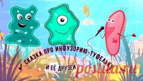✔ Сказка про Инфузорию-туфельку