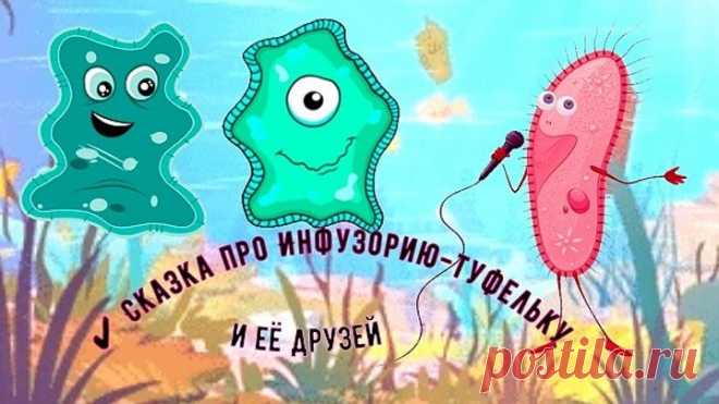 ✔ Сказка про Инфузорию-туфельку