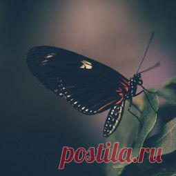 FireStock — бесплатный фотосток.