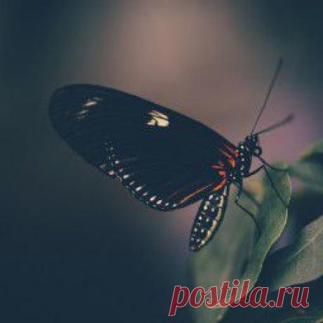 FireStock — бесплатный фотосток.