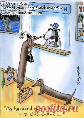 Найдено на сайте dachshundlove.blogspot.com.