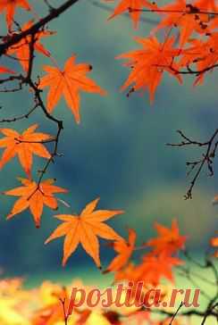 Интересные новости