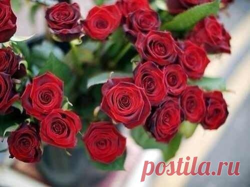 Интересные новости