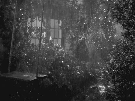 tumblr_m7w0jbJJw11rzx9sbo1_500.gif (500×375)