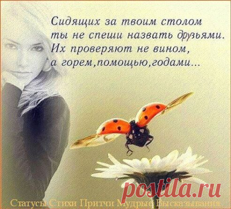 Одноклассники