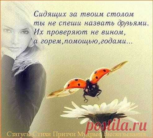 Одноклассники