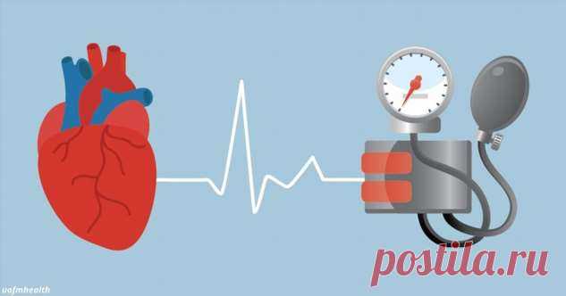 Вот какой должна быть разница между «верхним» и «нижним» давлением | Краше Всех