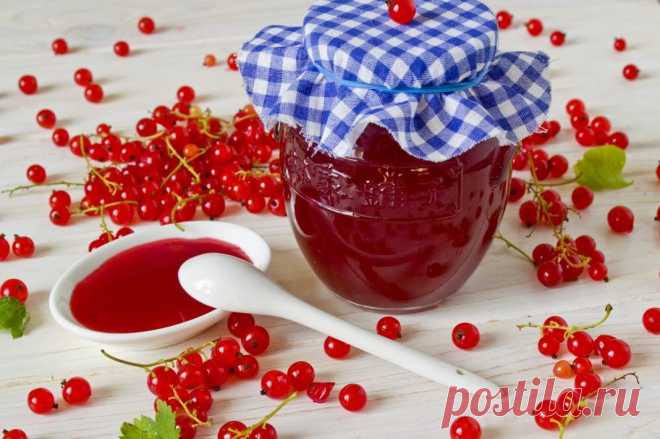 Желе из красной смородины на зиму - Вкусные рецепты - медиаплатформа МирТесен