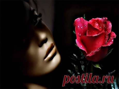 ♦♦♦Красная роза-эмблема любви!✿⊱╮✿⊱╮✿⊱