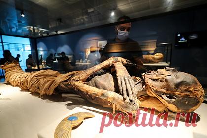 В Египте нашли гробницу с десятками мумий. В Египте археологи обнаружили усыпальницу, в которой находилось 30 мумий. Гробница была сокрыта в здании, внутренние части которого были обожжены. По мнению ученых, она принадлежала одной семье, которая хоронила в ней тела усопших родных в период с первого века до нашей эры до второго или третьего века нашей эры.