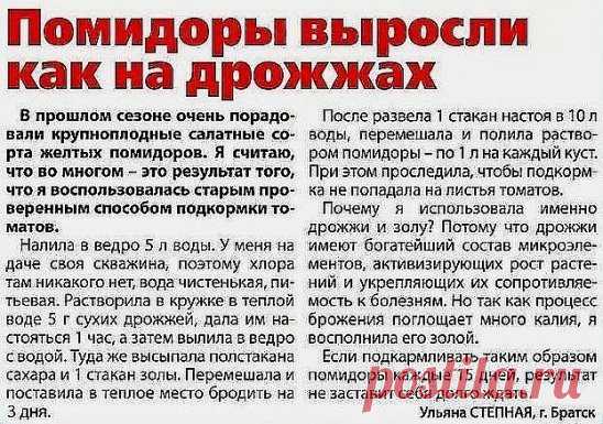 ВСЕ ЧТО НУЖНО ЗНАТЬ О ТОМАТАХ! 
ШПАРГАЛКА НА ЛЕТО!
ДЕДОВСКИЙ РЕЦЕПТ ДЛЯ ТОМАТОВ.
Этот полузабытый дедовский рецепт я выписала из старой газетной подшивки, но опробовать все не было времени. Решилась наконец в прошлом году.
Рецепт очень прост.
В трехлитровую банку заливаю 2,6-2,7 л воды без хлора (отстоянной), добавляю 100 г разведенных теплой водой дрожжей и 0,5 ст. сахара.
Накрыв марлей, держу банку в тепле, время от времени взбалтывая содержимое.
Раствор готов, когда закончится брожение.
О