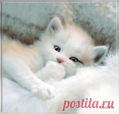 0_8fe18_bd26eead_orig (567×545)