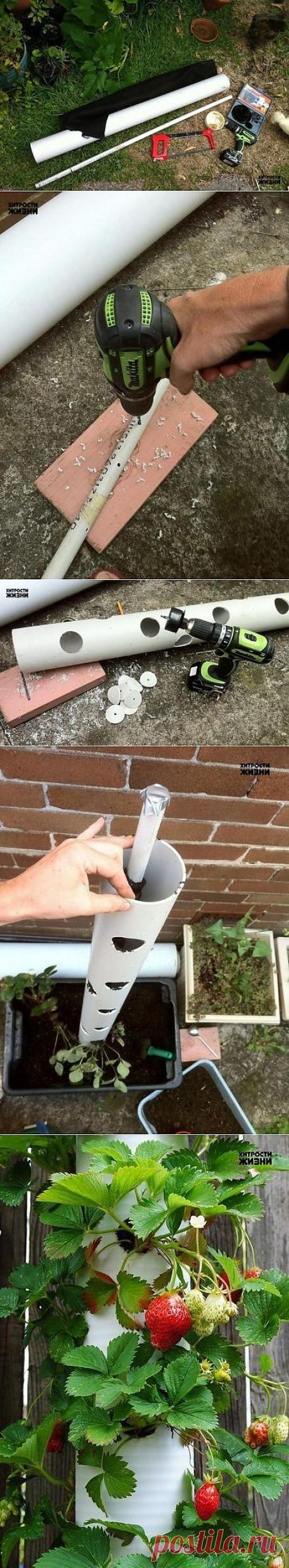 Вертикальная грядка - хитрости жизни!!!. Сохраните любой пост с сайта 7dach.ru в Постиле и выиграйте призы от интернет-магазина Клуб Красоты. Чем больше постов - тем выше шансы. Розыгрыш состоится в понедельник, 30 января. В акции участвуют все посты, которые содержат этот текст или фото призов!