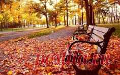 tmb_25946_9410.jpg (1000×625)