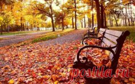 tmb_25946_9410.jpg (1000×625)