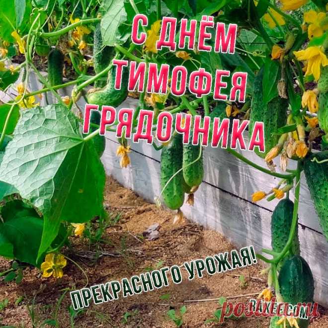 Желаю счастья и удачи,
Здоровья крепкого в придачу,
Успехов, радости, везенья
И Божьего благословения!