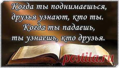 (47) Одноклассники