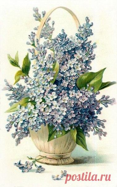 Винтажные открытки.