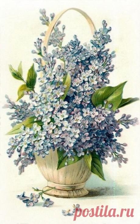 Винтажные открытки.