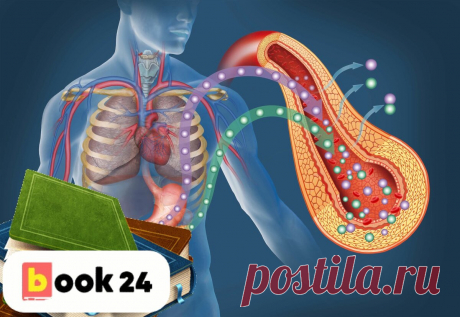 5 продуктов, восстанавливающих здоровье поджелудочной железы | Book24: блог о здоровье | Яндекс Дзен