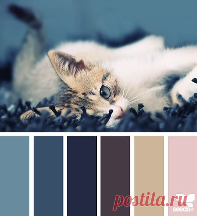 for all who ❤ color | color stare