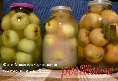 Традиционная Русская кухня | Этносы