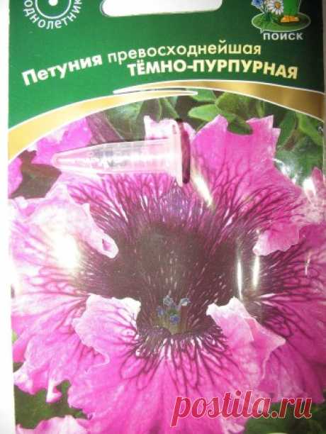 Петуния (посев семян на рассаду) — Кладовочка