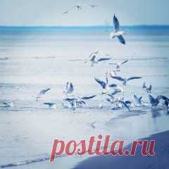Красоты природы — AdMe Photo Awards 2014