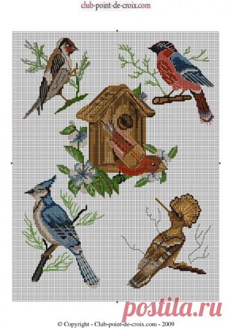 (9) Gallery.ru / Фото #36 - 4 - denise10