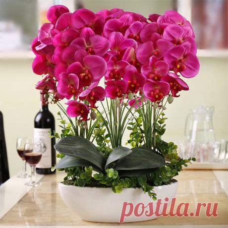 АПТЕЧКА ДЛЯ ОРХИДЕИ. КРАТКИЙ СПИСОК 
1. Древесный уголь, активированный уголь – дезинфекция, подсушивание. Средства от грибков. Припудривать места срезов. 
2. Фундазол – системный фунгицид. Защита от пятнистостей, мучнистой росы, снежной плесени, сажек, корневой гнили и прочих заболеваний грибковой природы. Точечные раны обрабатывают кашицей фундазола (0,5 ч.л. порошка на 1 ч.л. воды), для опрыскивания разводят 1 ч.л. порошка на литр воды. 
3. Фитоспорин – защита от бактер...