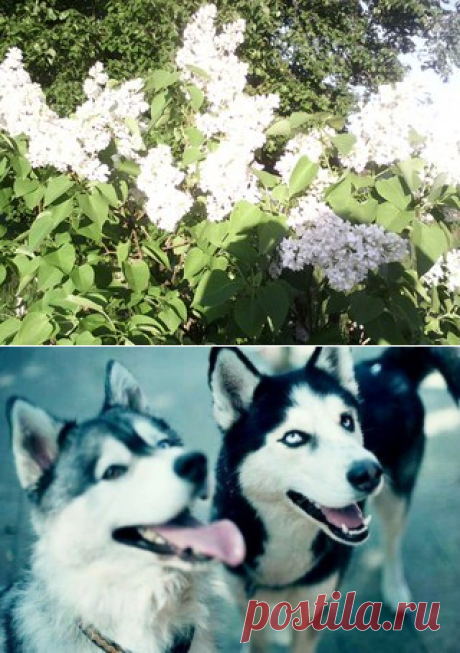 Vladimir Poplenkin | VK