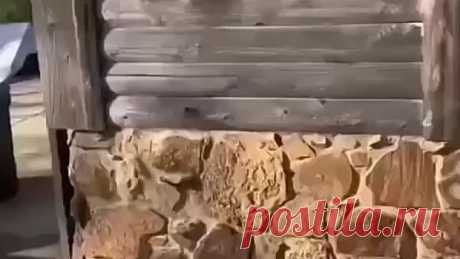 Самый простой способ восстановить внешний вид древесины — химическое отбеливание - Идеи для сада | дача | ландшафт| огород