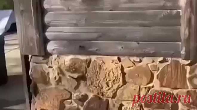 Самый простой способ восстановить внешний вид древесины — химическое отбеливание - Идеи для сада | дача | ландшафт| огород