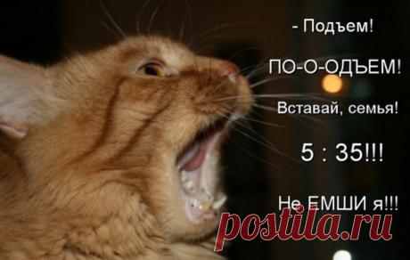 (2) Facebook